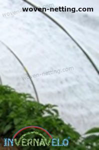 crops inside of micro tunnel for care and protection