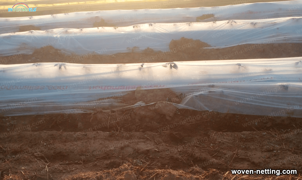 Crop netting