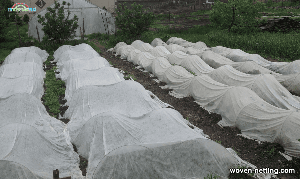 Crop netting